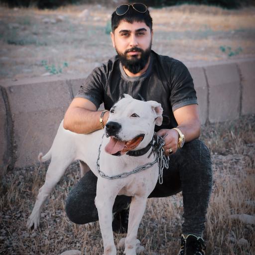 باشگاه پرورش سگ دز کنل