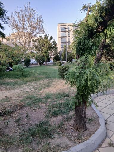 عکس بوستان کاج