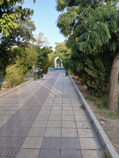 عکس بوستان کاج