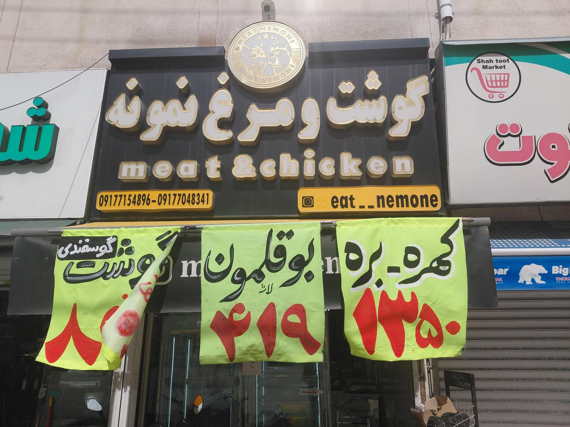 عکس مرغ نمونه