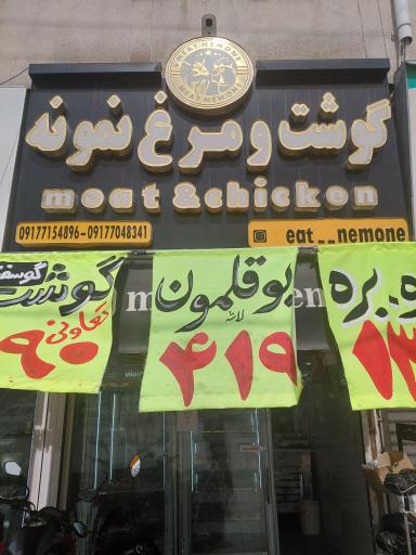 عکس مرغ نمونه