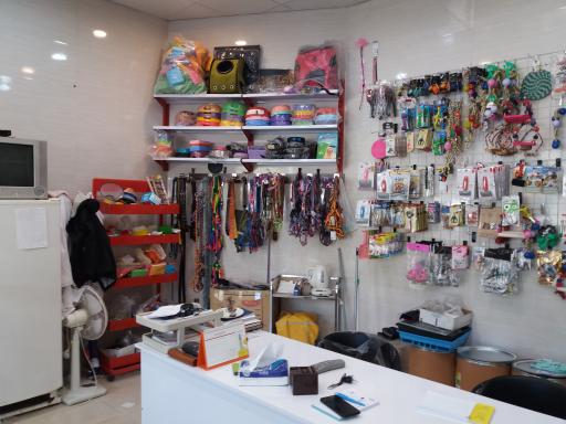 عکس کلینیک دامپزشکی دکتر سلطانی