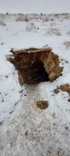 عکس جان پناه صخره ای