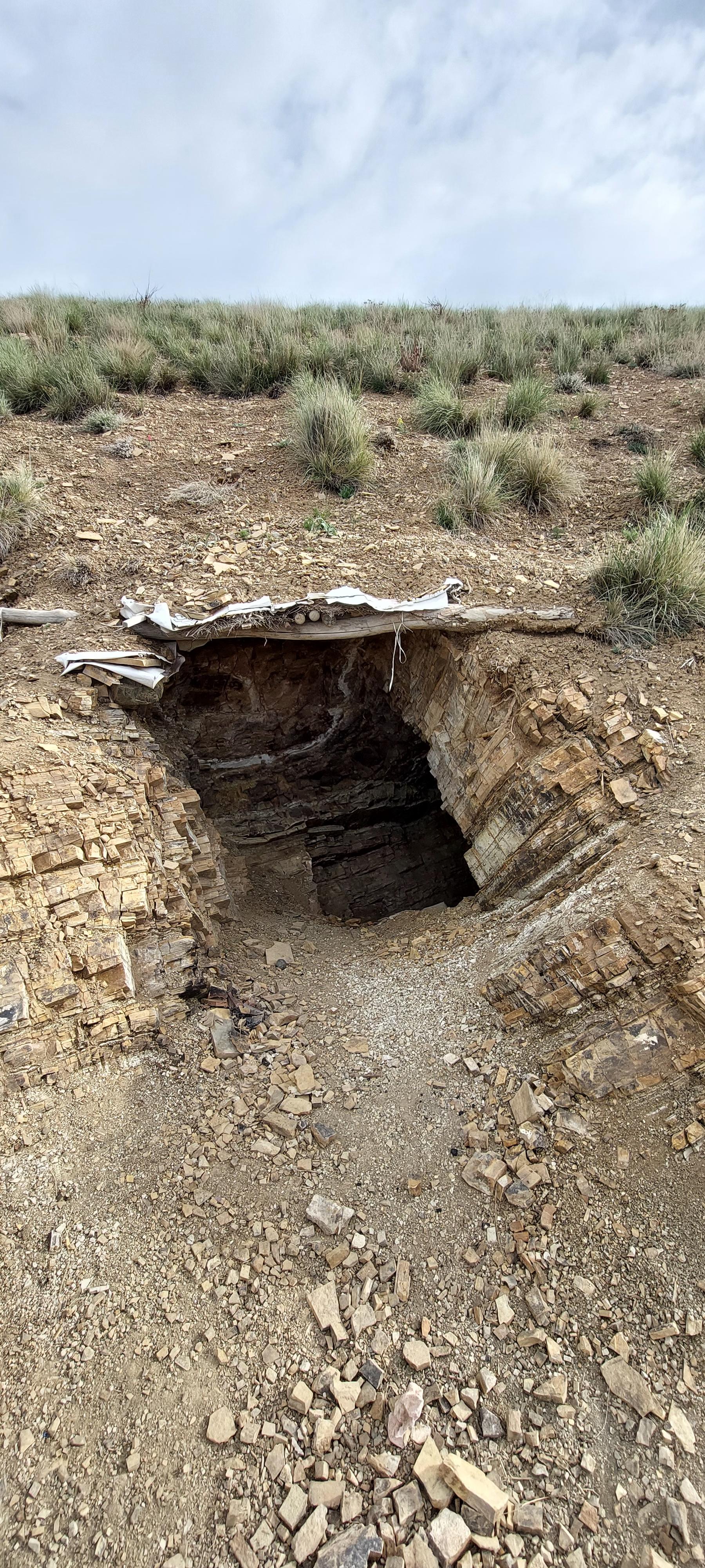 عکس جان پناه صخره ای