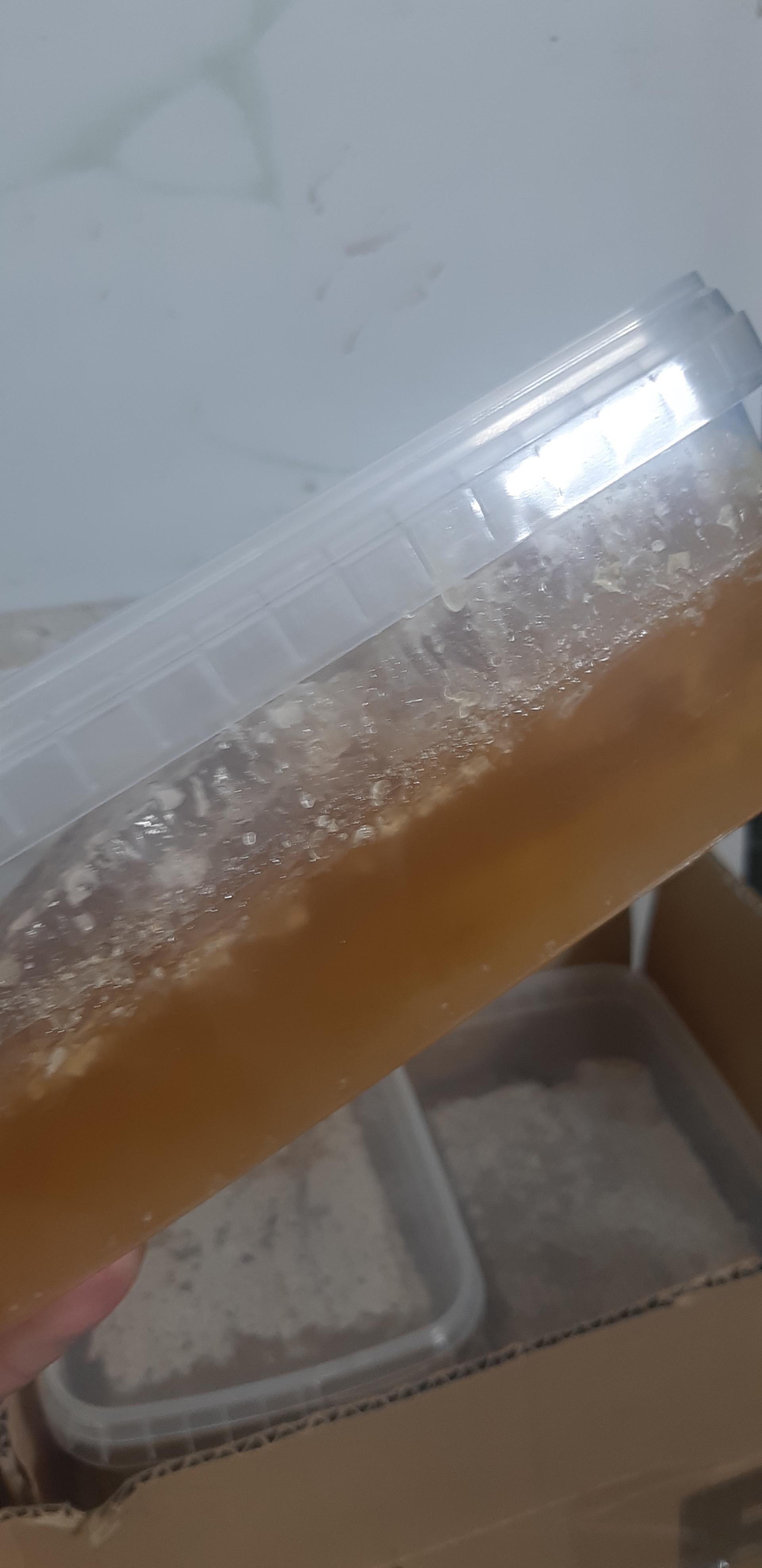 عکس فروش عسل طبیعی