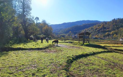 عکس اقامتگاه بومگردی گیلدا
