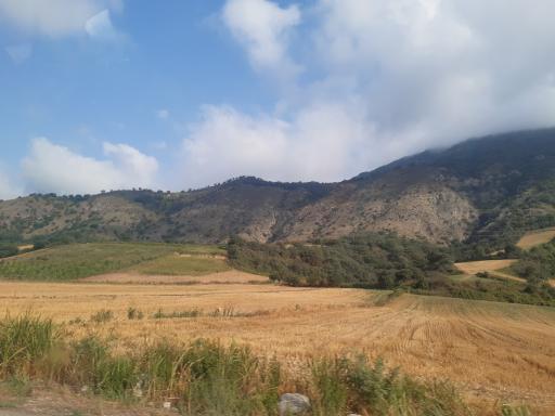 عکس مینودشت