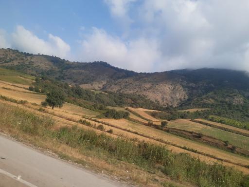 عکس مینودشت