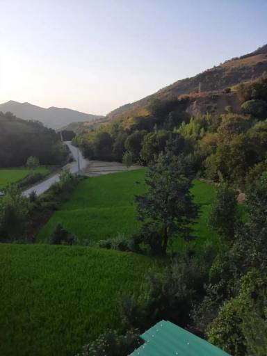 عکس مینودشت