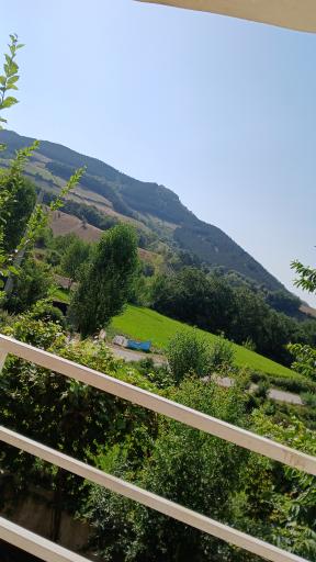 عکس مینودشت