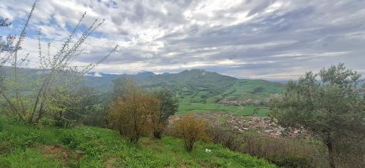 عکس مینودشت