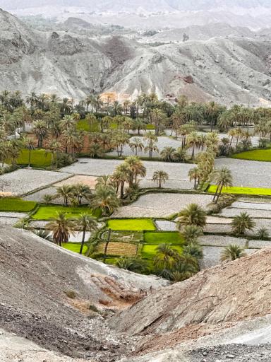 عکس بام قصرقند