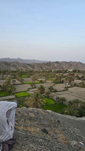 بام قصرقند