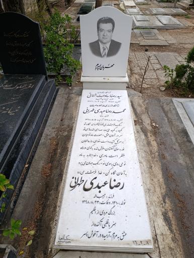 عکس مزار رضاعبدی طهرانی