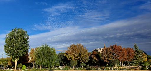 عکس بوستان تندرستی