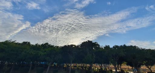 عکس بوستان تندرستی