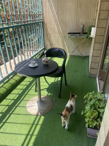 عکس باشگاه ورزشی بانوان اکسین جردن