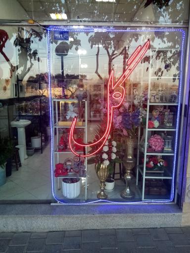 عکس گل نایس