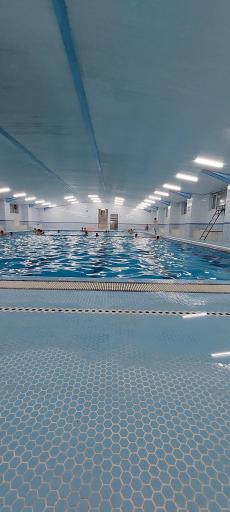 عکس استخر سرپوشیده زنده یاد اوراز 