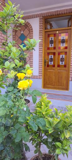 هتل سنتی تخت جمشید 