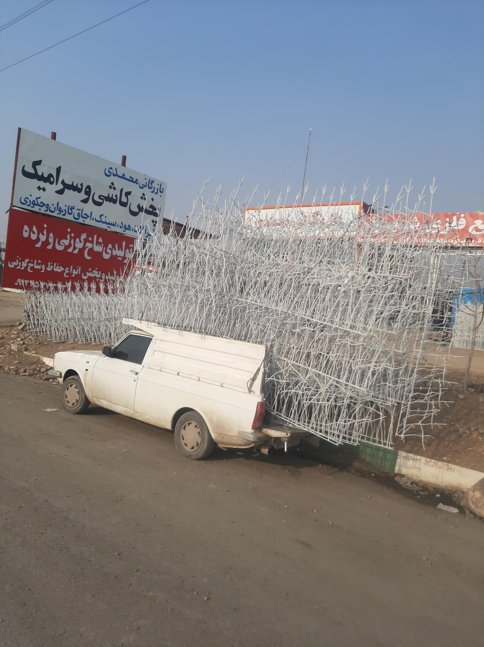 عکس تولید شاخ گوزنی مهدی