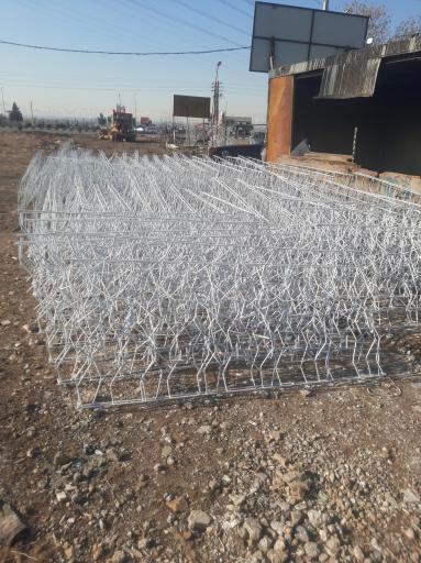 عکس تولید شاخ گوزنی مهدی