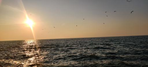 عکس بوستان سیادت (تی وی)