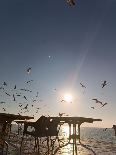 عکس بوستان سیادت (تی وی)