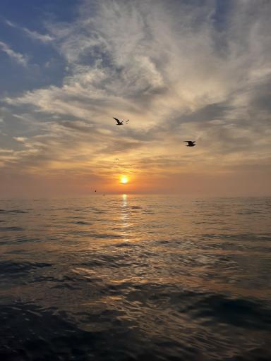 بوستان سیادت (تی وی)