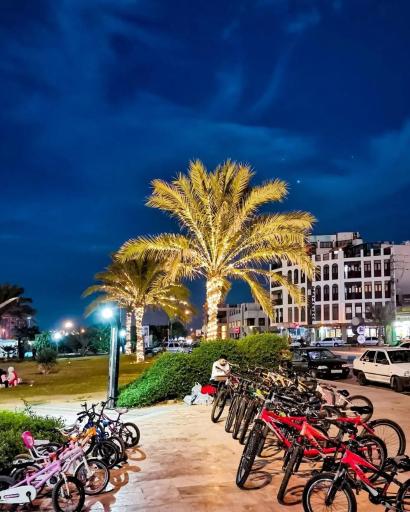 بوستان سیادت (تی وی)