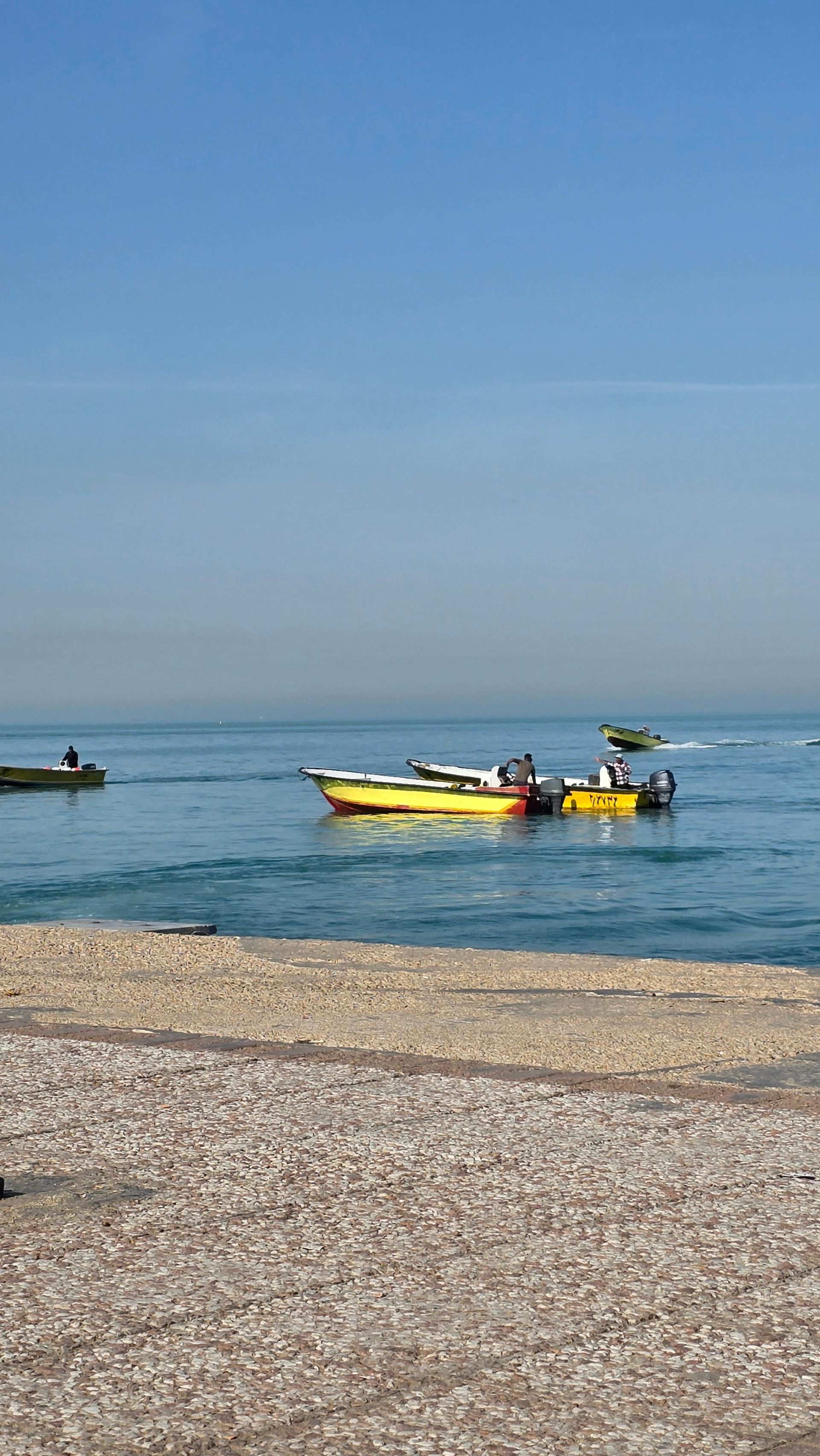 عکس بوستان سیادت (تی وی)