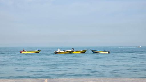 عکس بوستان سیادت (تی وی)