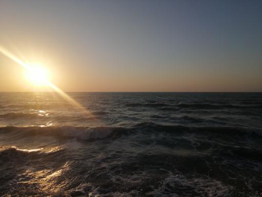 عکس بوستان سیادت (تی وی)