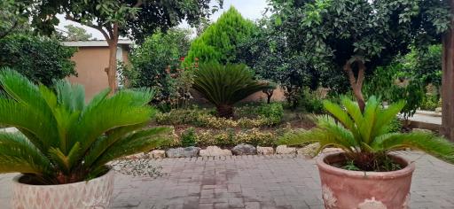 عکس تالار و مجموعه پذیرایی شونیشت