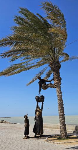 عکس بوستان سیادت (تی وی)