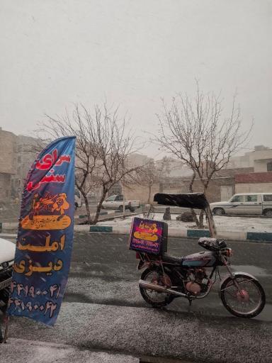 عکس خانم املت آقای دیزی شعبه ۲