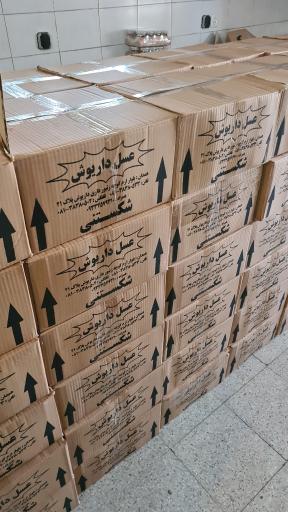 عکس عسل داریوش 