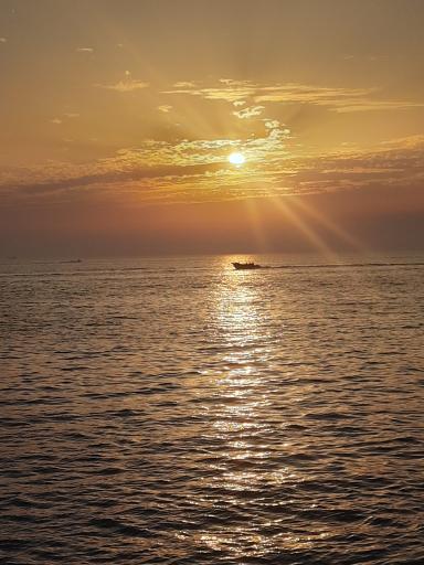 عکس بوستان سیادت (تی وی)