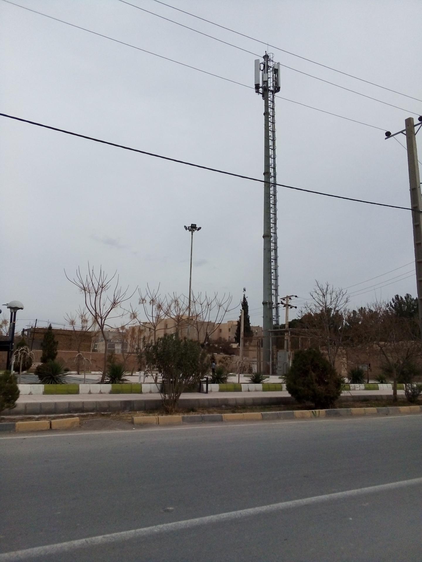 عکس بوستان ارغوان