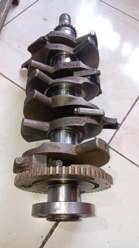 عکس استوک چینی شهرام