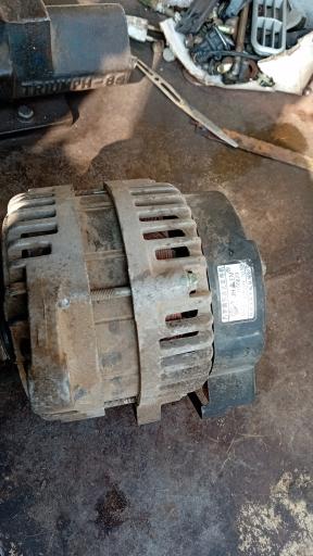 عکس استوک چینی شهرام