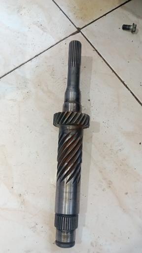 عکس استوک چینی شهرام