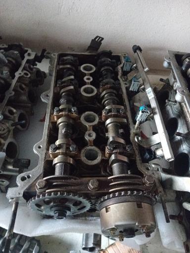 عکس استوک چینی شهرام