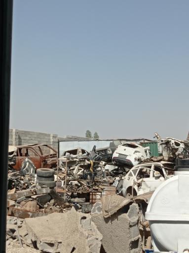 عکس استوک چینی شهرام