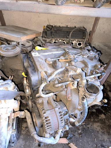 عکس استوک چینی شهرام