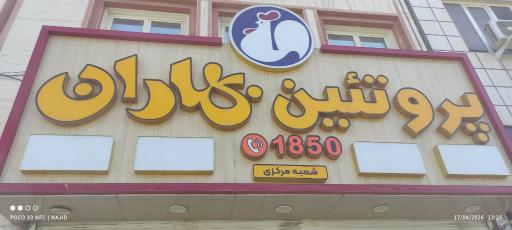 عکس پروتئین بهاران (شعبه مرکزی)