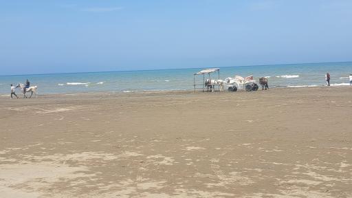 عکس ساحل ولی آباد