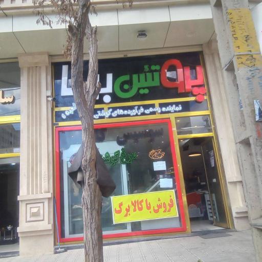عکس پروتئین برسا