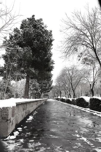 پارک منظریه