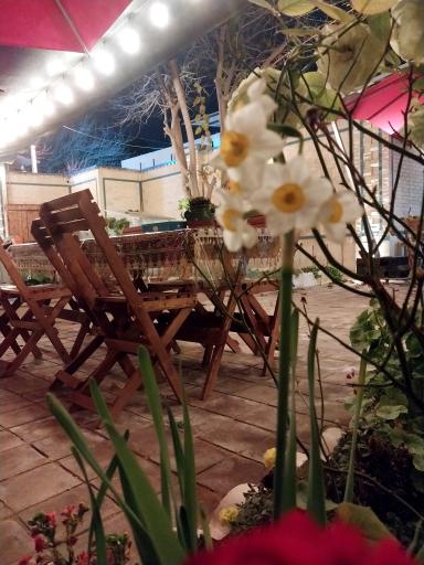 عکس هتل سیمرغ